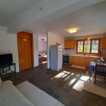 Appartement Σπίτι Σε Ελαιώνα, House In An Olive Grove à Ária Extérieur photo