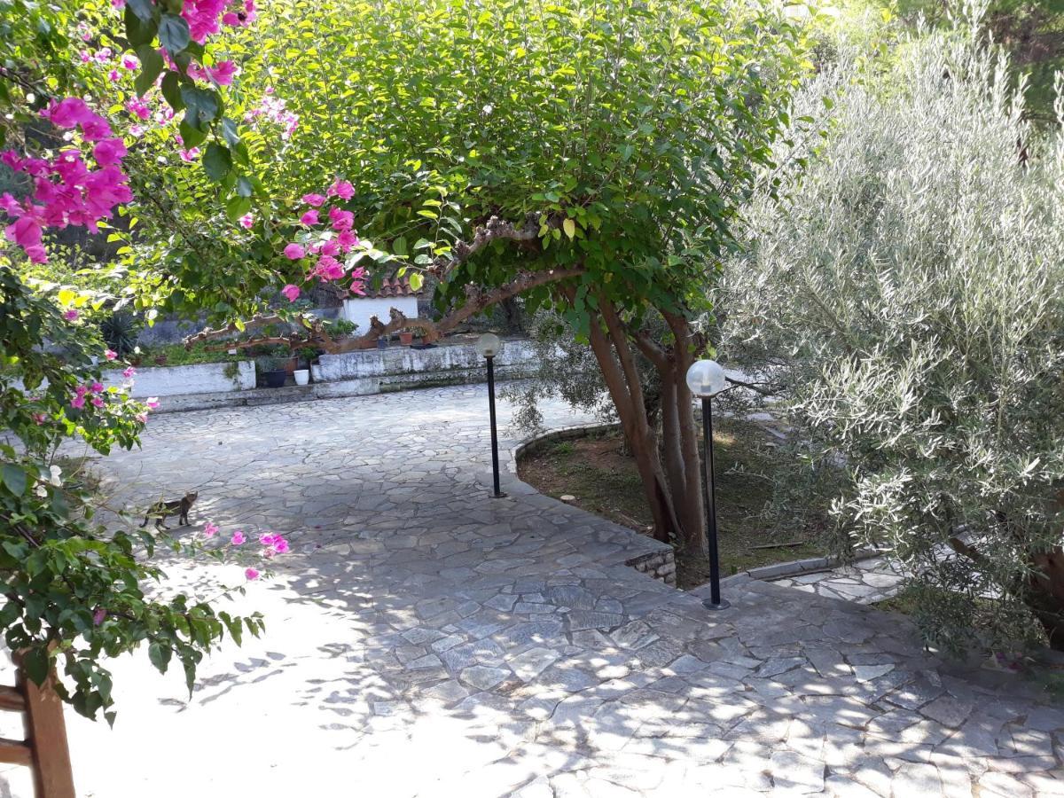 Appartement Σπίτι Σε Ελαιώνα, House In An Olive Grove à Ária Extérieur photo