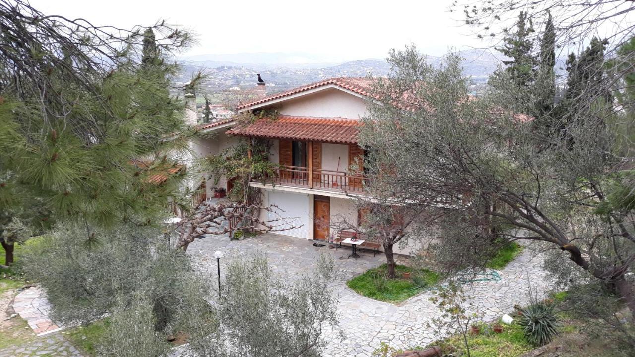 Appartement Σπίτι Σε Ελαιώνα, House In An Olive Grove à Ária Extérieur photo