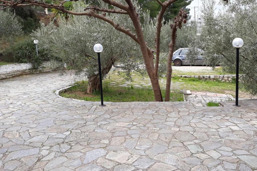 Appartement Σπίτι Σε Ελαιώνα, House In An Olive Grove à Ária Extérieur photo