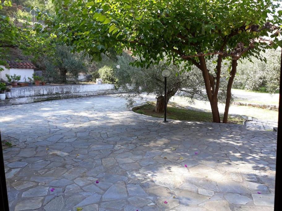 Appartement Σπίτι Σε Ελαιώνα, House In An Olive Grove à Ária Extérieur photo