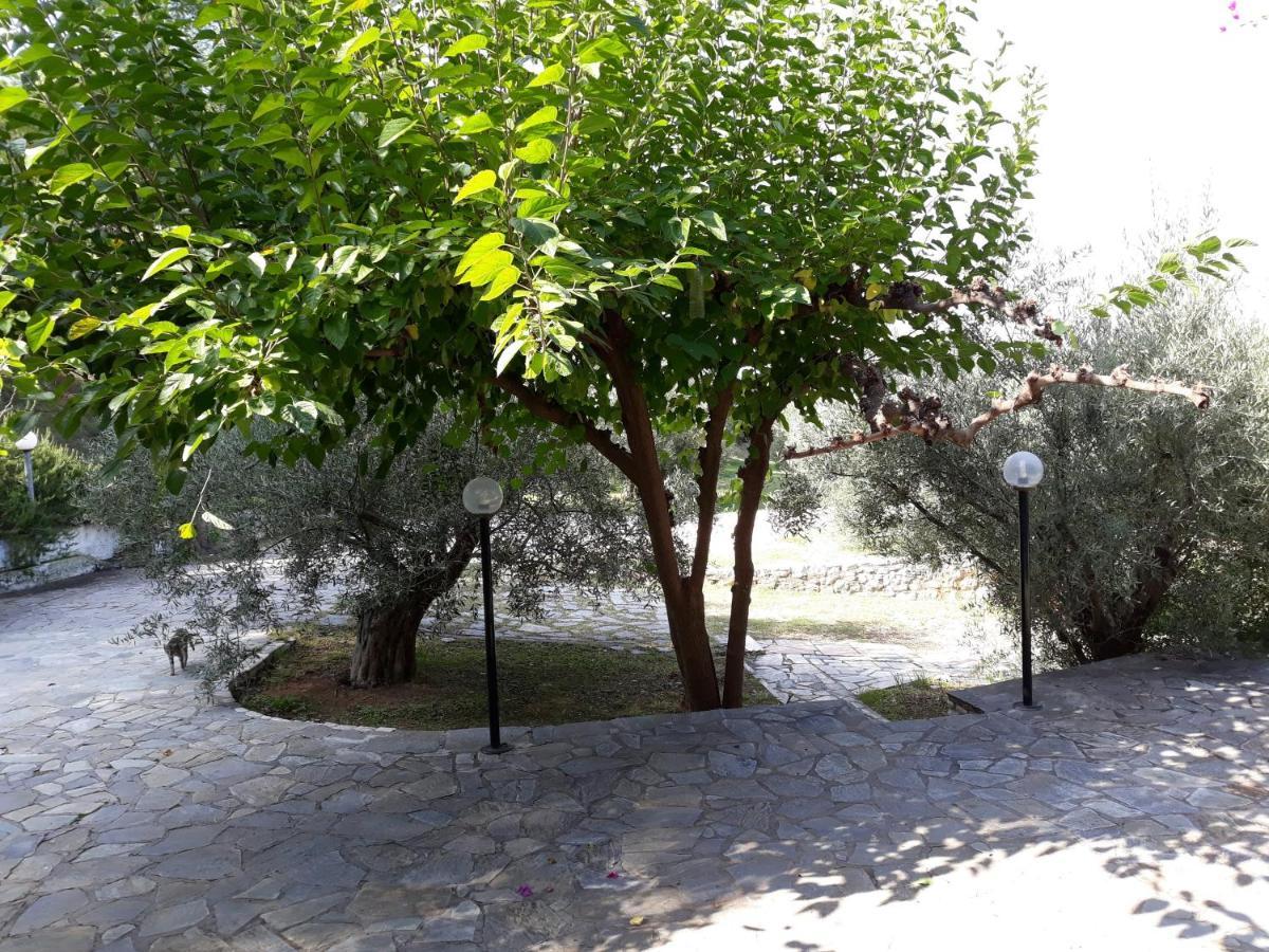 Appartement Σπίτι Σε Ελαιώνα, House In An Olive Grove à Ária Extérieur photo