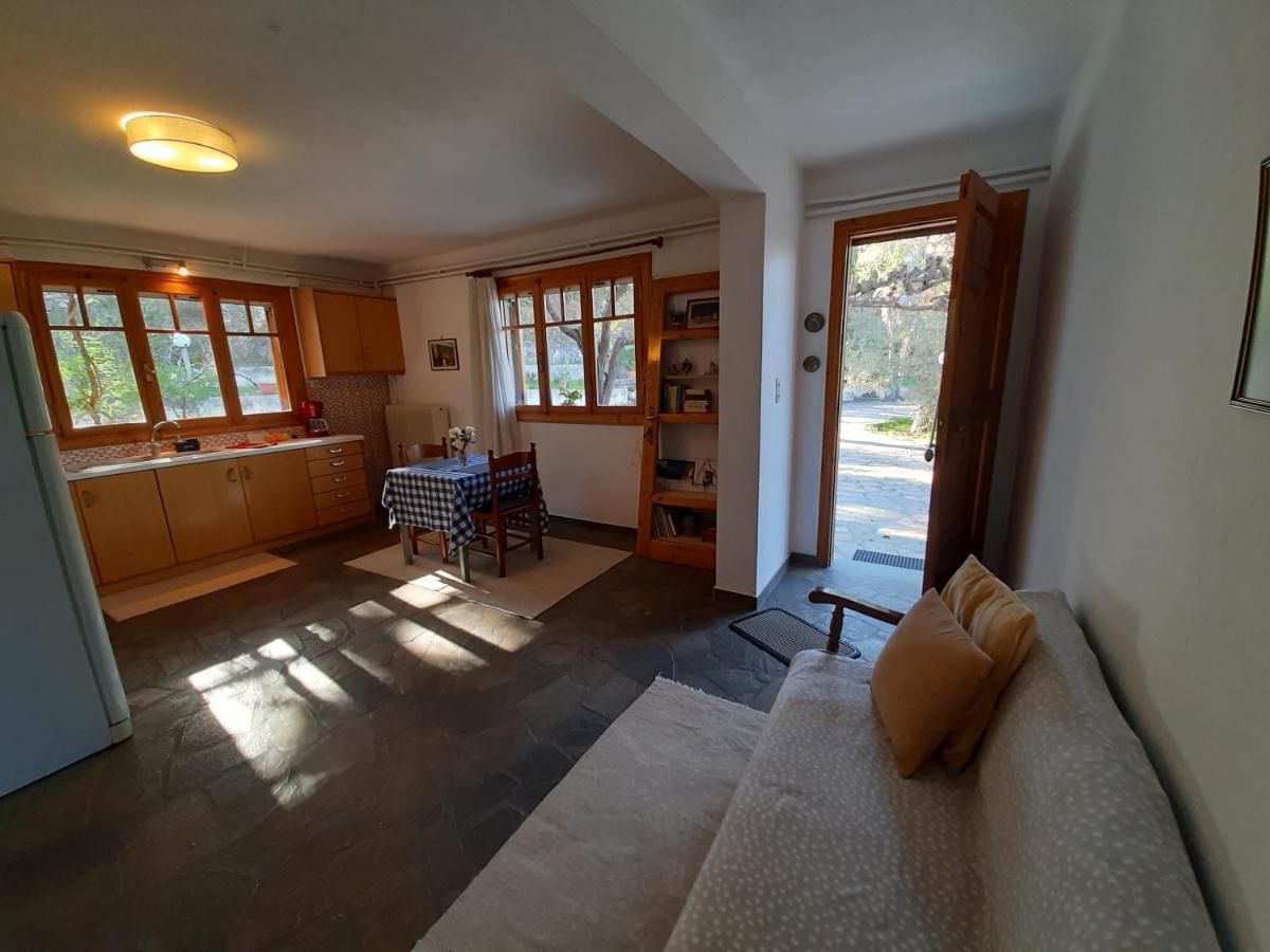 Appartement Σπίτι Σε Ελαιώνα, House In An Olive Grove à Ária Extérieur photo