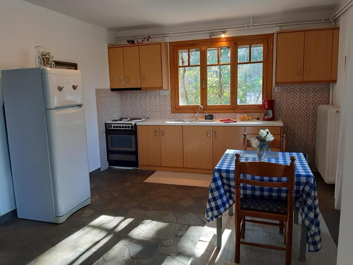 Appartement Σπίτι Σε Ελαιώνα, House In An Olive Grove à Ária Extérieur photo