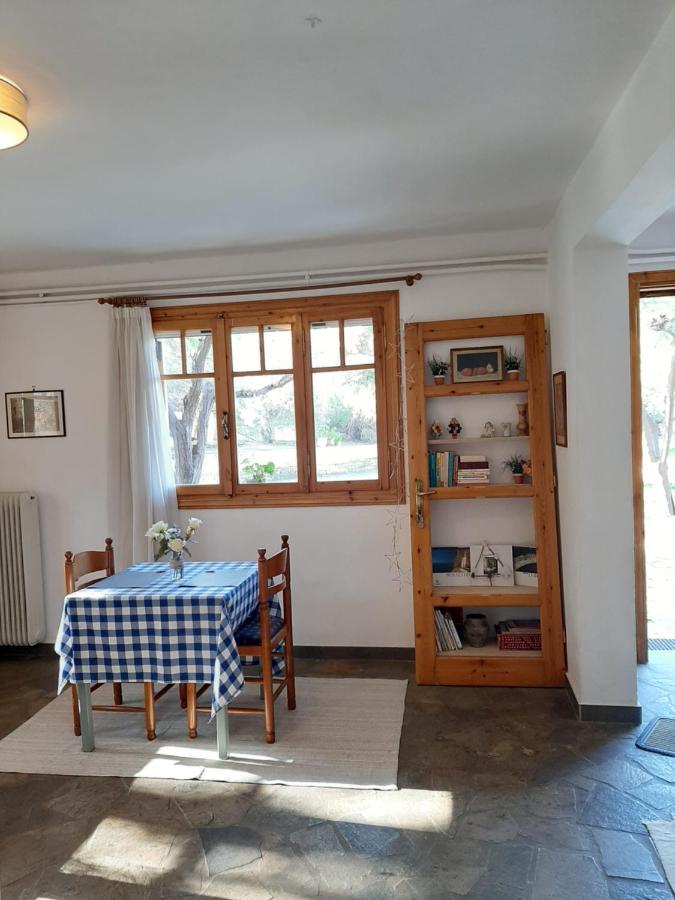 Appartement Σπίτι Σε Ελαιώνα, House In An Olive Grove à Ária Extérieur photo