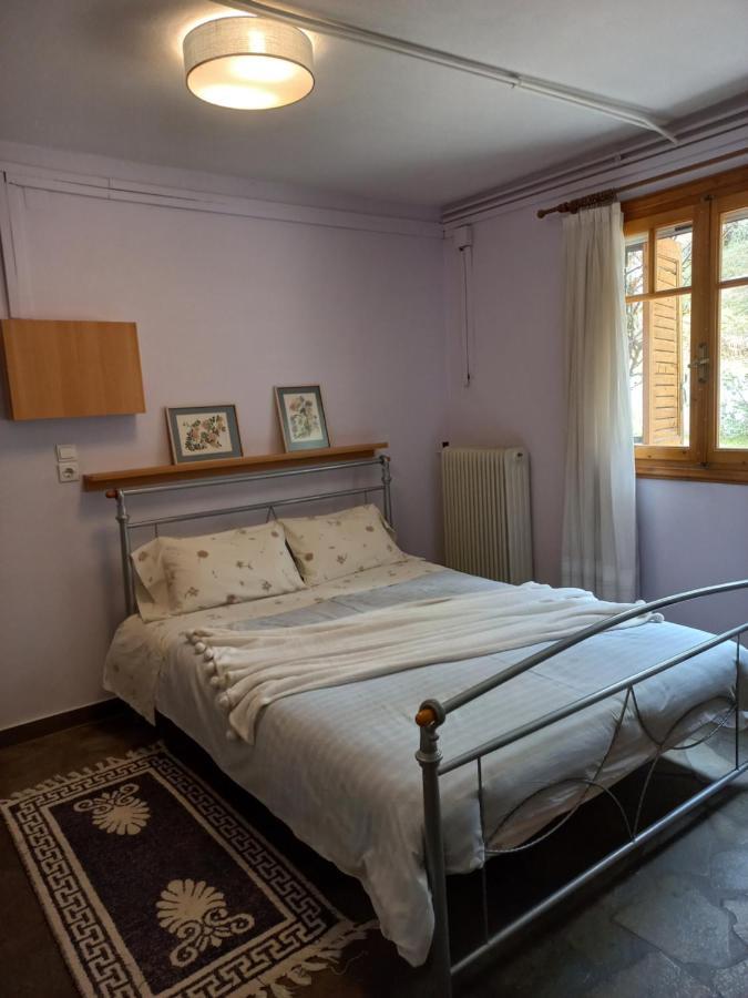 Appartement Σπίτι Σε Ελαιώνα, House In An Olive Grove à Ária Extérieur photo