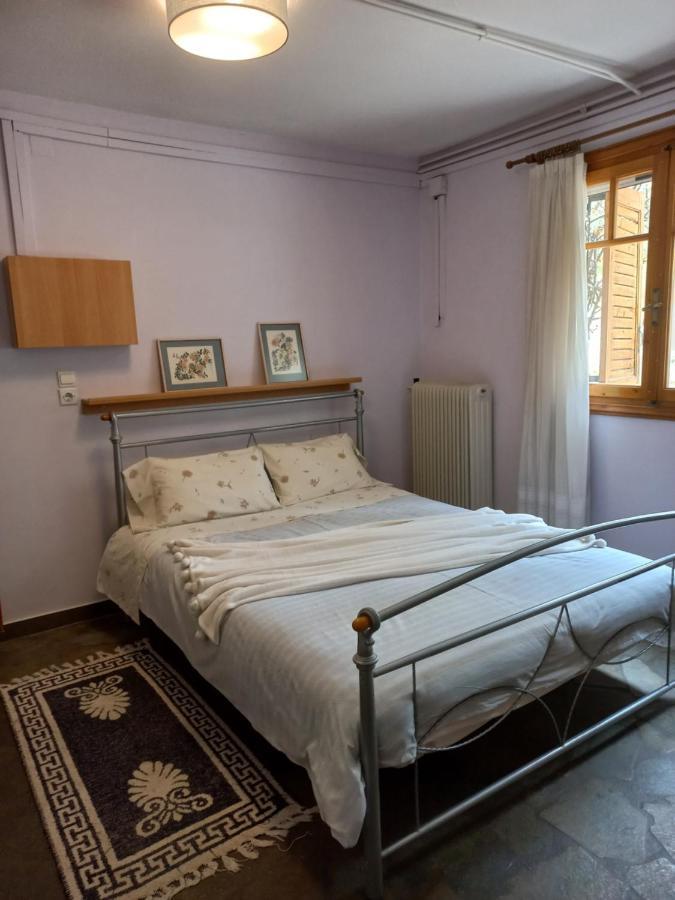 Appartement Σπίτι Σε Ελαιώνα, House In An Olive Grove à Ária Extérieur photo